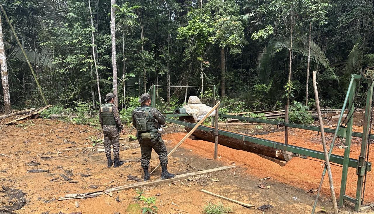 Batalhão de Polícia Ambiental flagra extração ilegal de madeira e apreende serraria clandestina em Candeias do Jamari